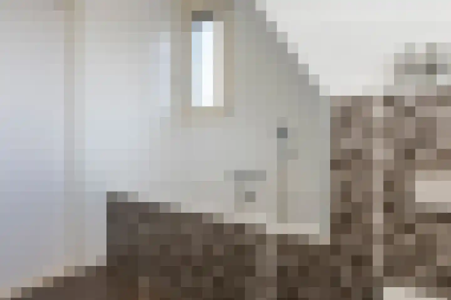 Kuifmees 17 Emmen thumbnail 21