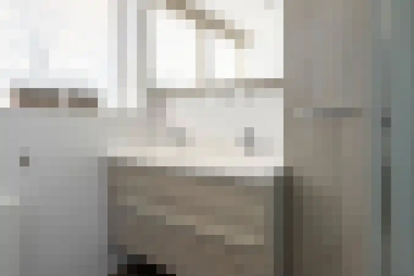 Kuifmees 17 Emmen thumbnail 22