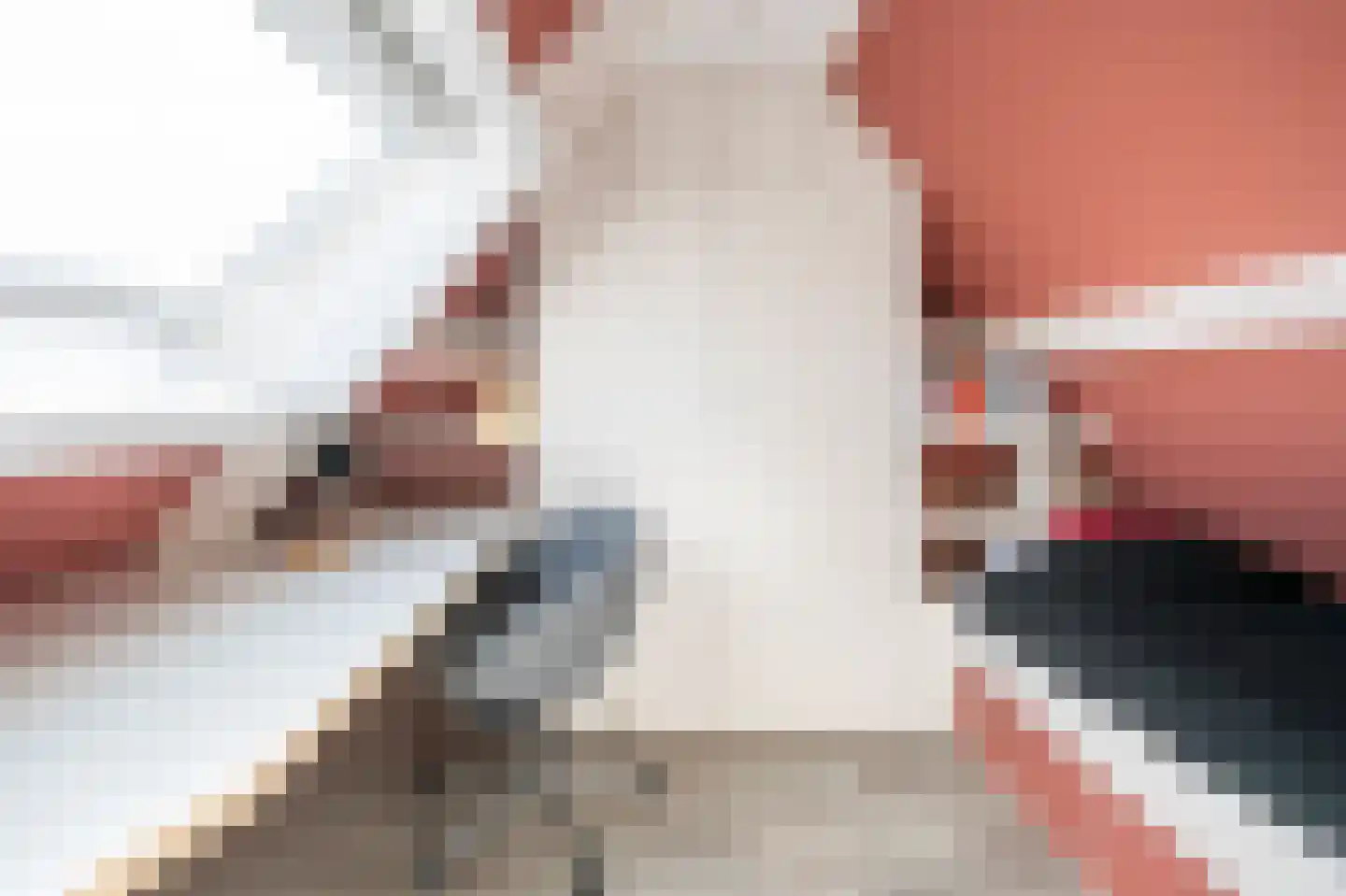 Kuifmees 17 Emmen thumbnail 26