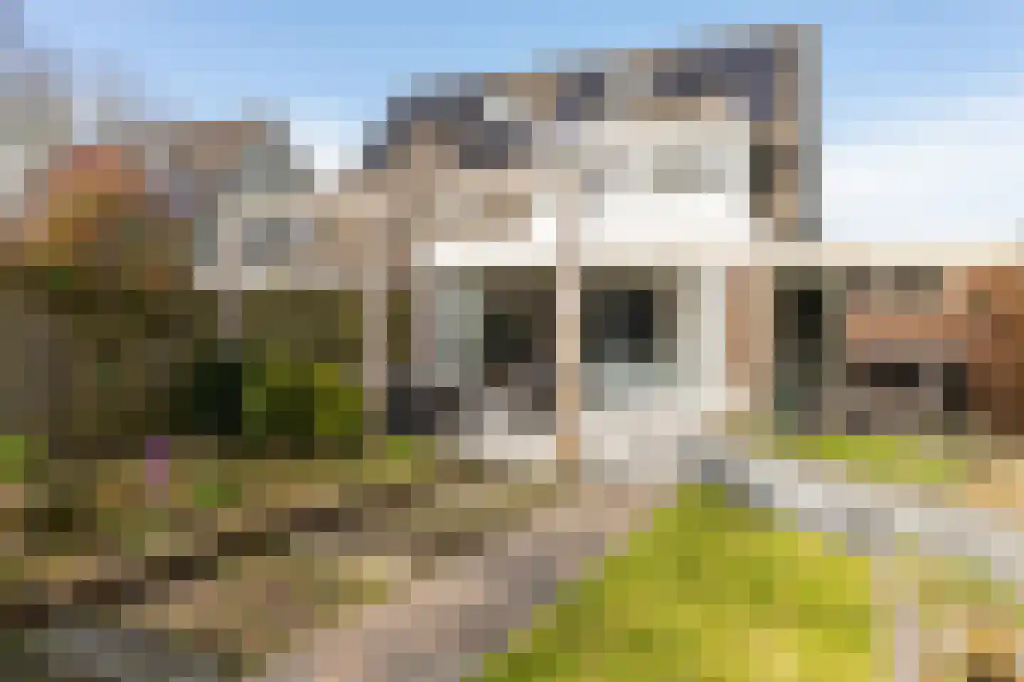 Kuifmees 17 Emmen thumbnail 30