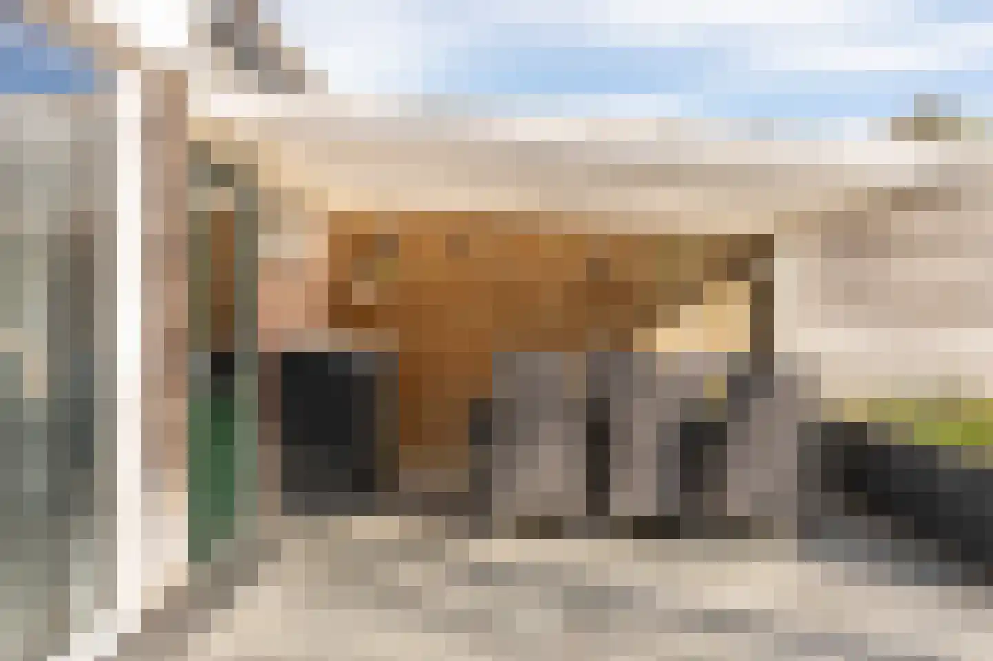 Kuifmees 17 Emmen thumbnail 32