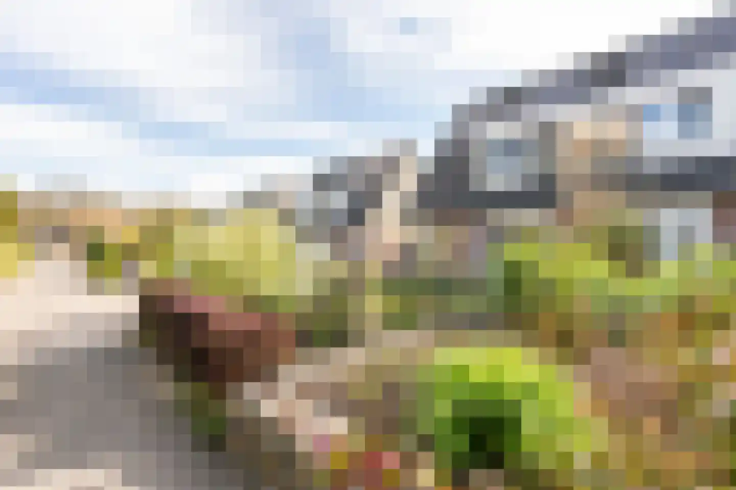 Kuifmees 17 Emmen thumbnail 34