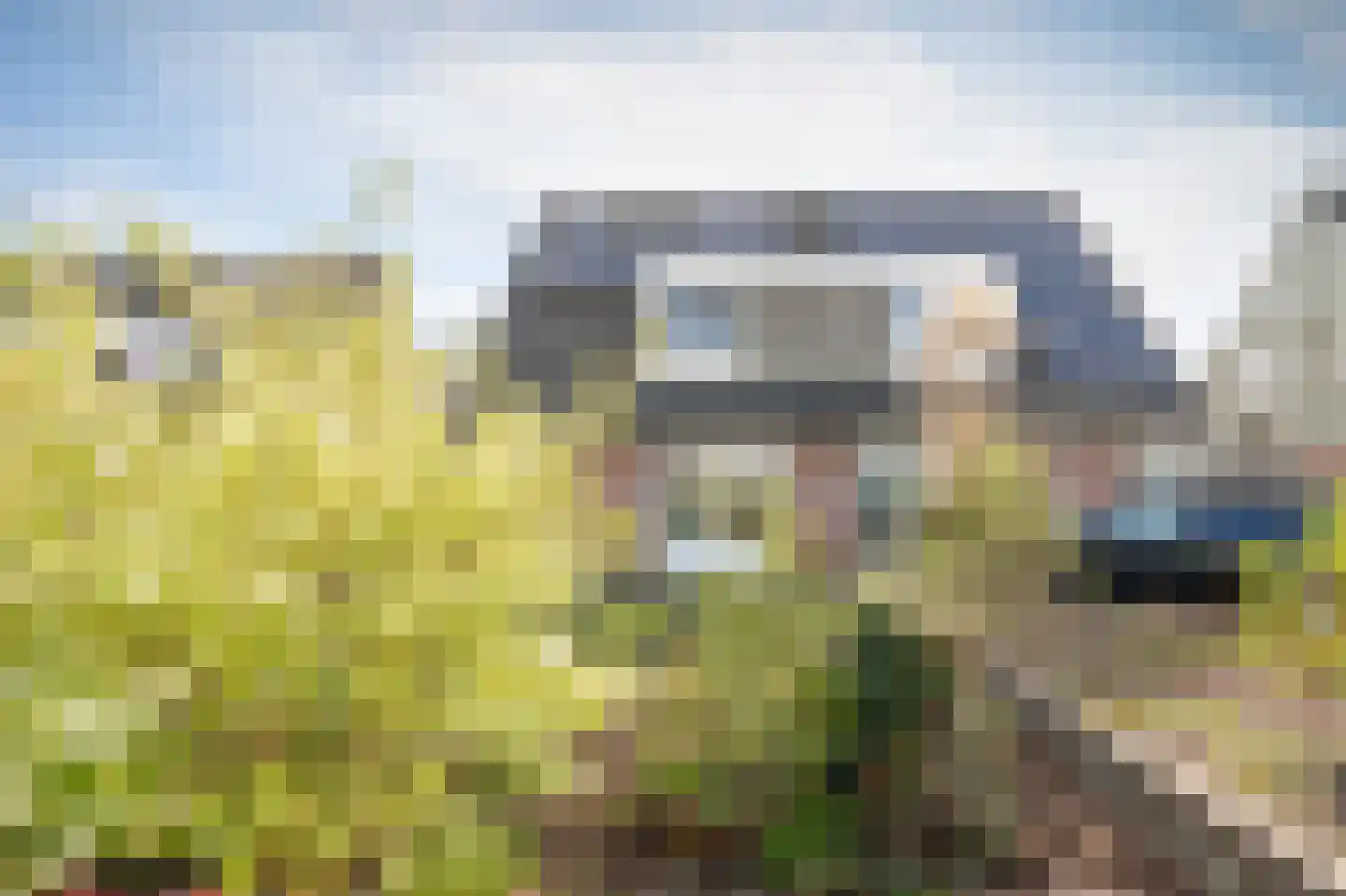 Kuifmees 17 Emmen thumbnail 35