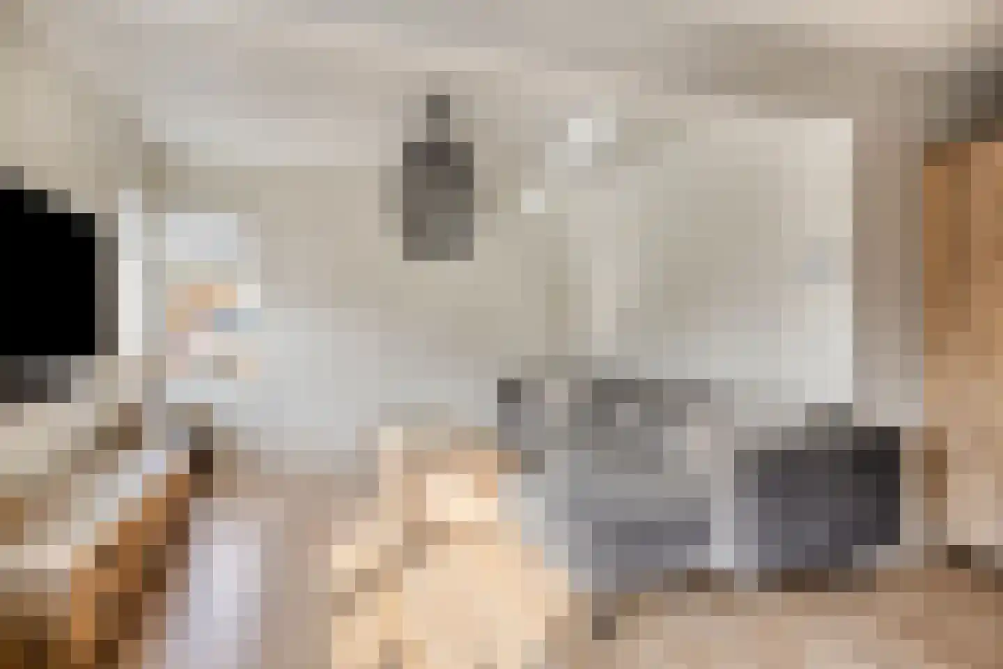 Kuifmees 19 Emmen thumbnail 13