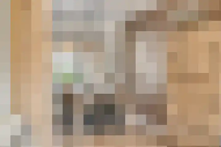 Kuifmees 19 Emmen thumbnail 15
