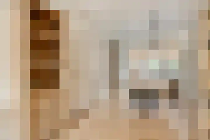 Kuifmees 19 Emmen thumbnail 16