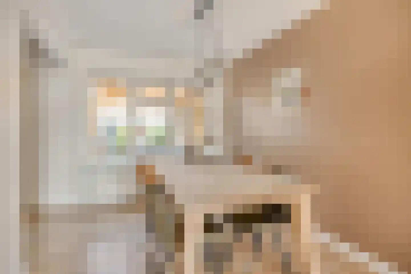 Kuifmees 19 Emmen thumbnail 18