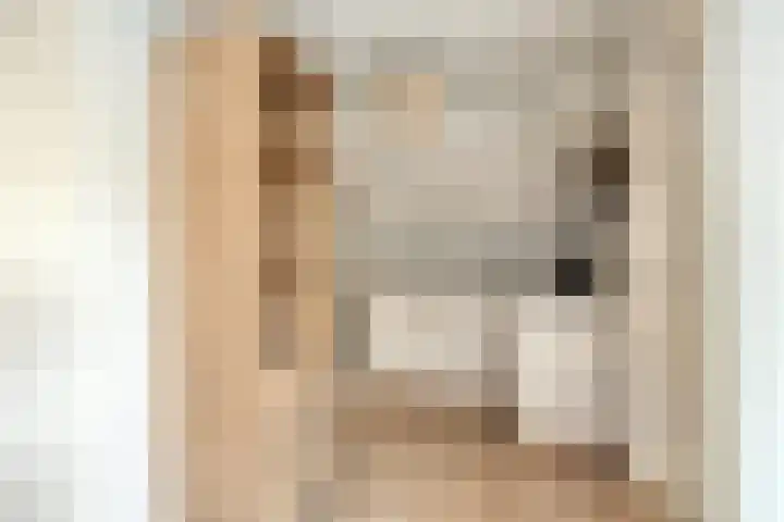 Kuifmees 19 Emmen thumbnail 19