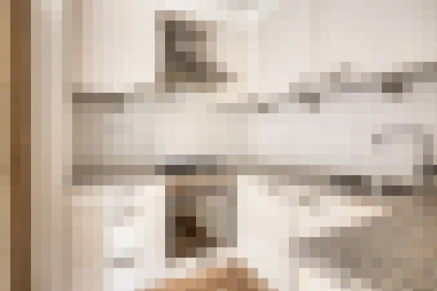 Kuifmees 19 Emmen thumbnail 20