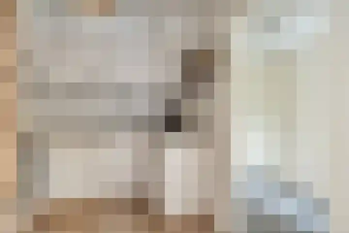 Kuifmees 19 Emmen thumbnail 21
