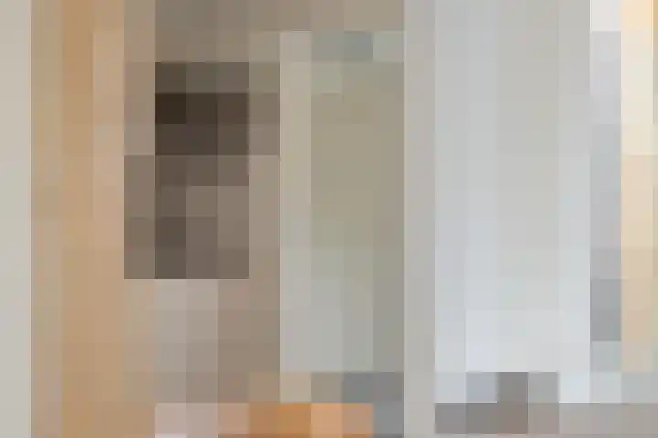 Kuifmees 19 Emmen thumbnail 22