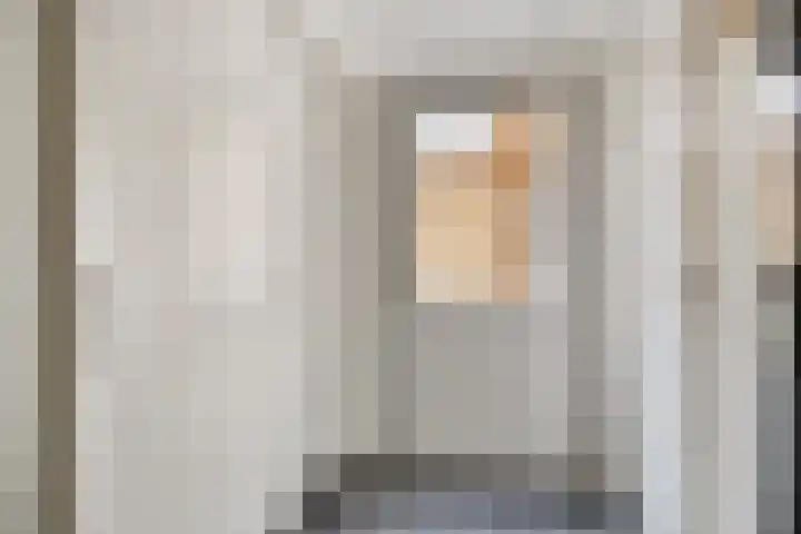 Kuifmees 19 Emmen thumbnail 23
