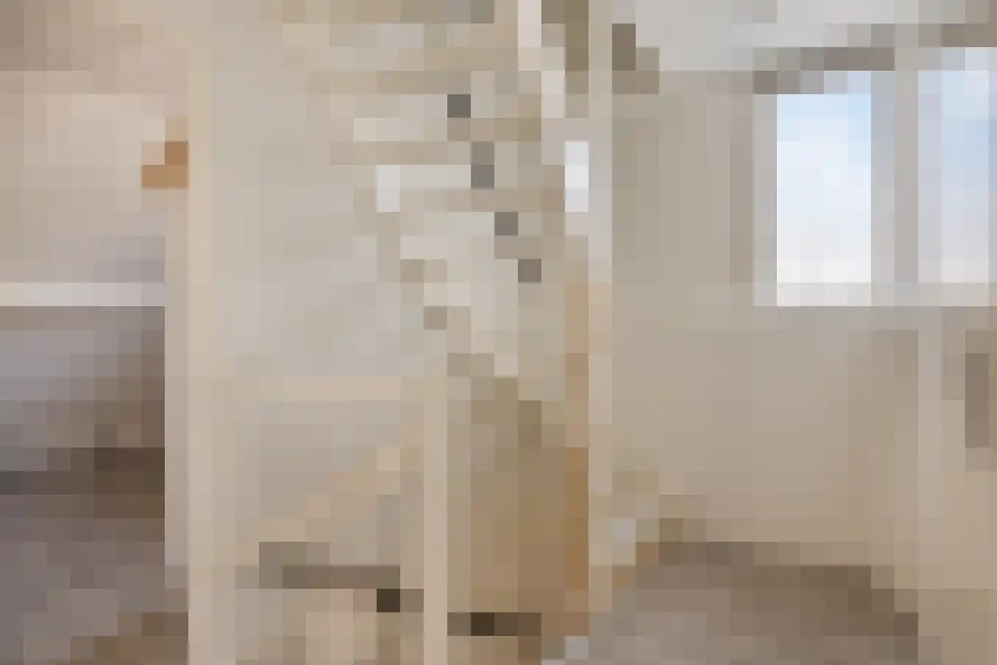 Kuifmees 19 Emmen thumbnail 25