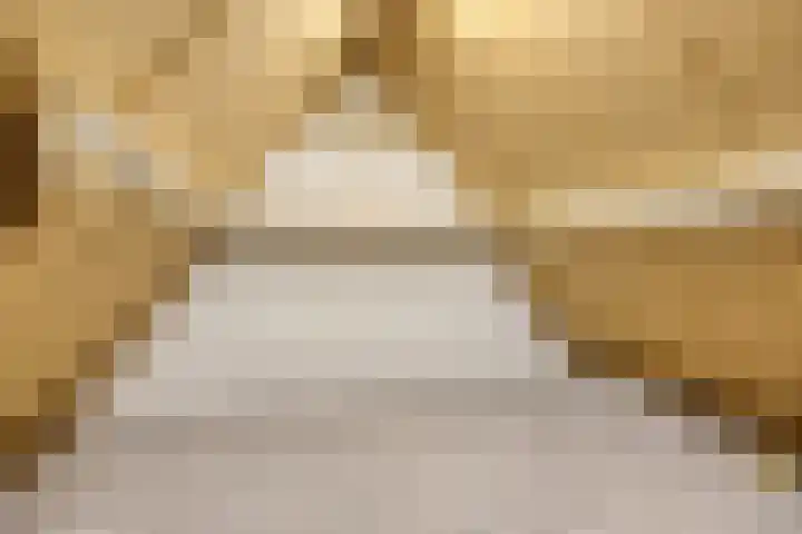 Kuifmees 19 Emmen thumbnail 33