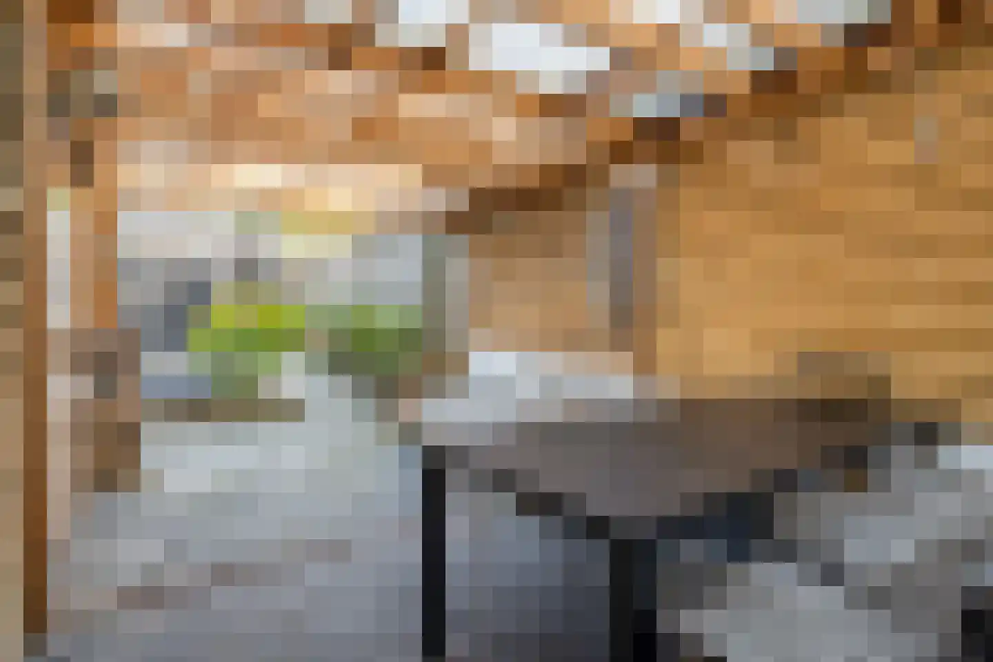 Kuifmees 19 Emmen thumbnail 34