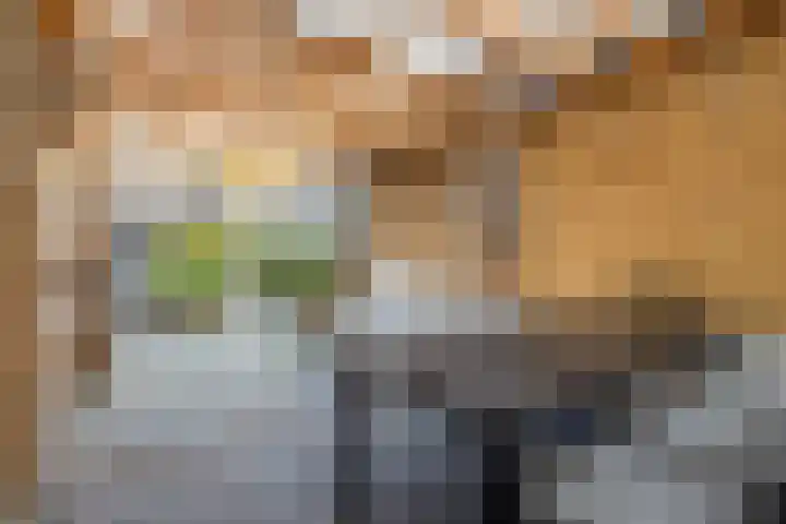 Kuifmees 19 Emmen thumbnail 34