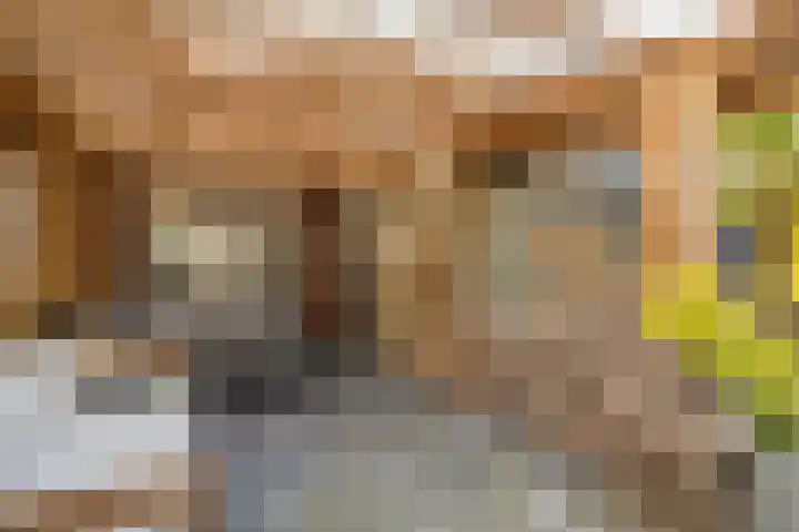 Kuifmees 19 Emmen thumbnail 35