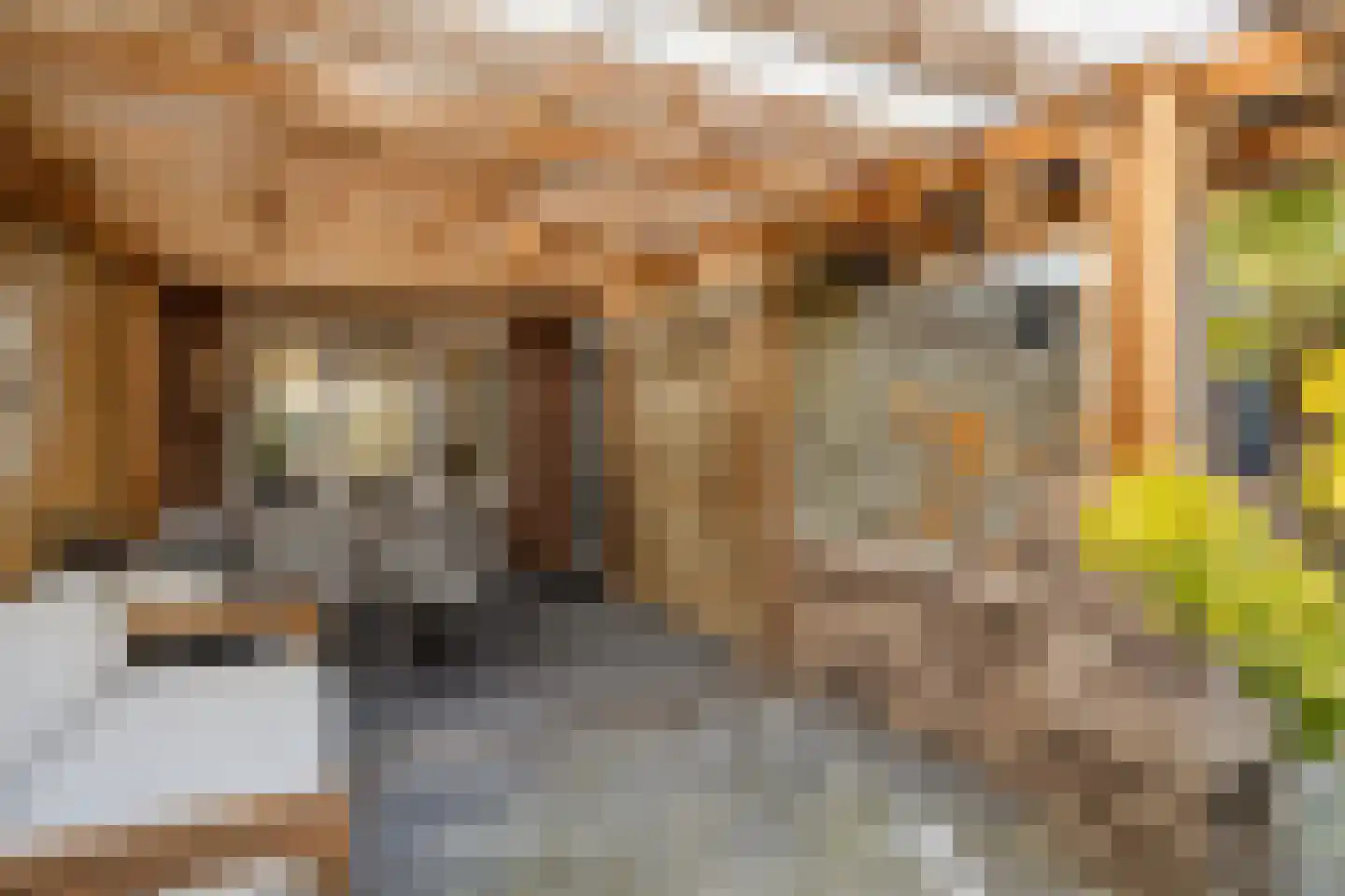 Kuifmees 19 Emmen thumbnail 35