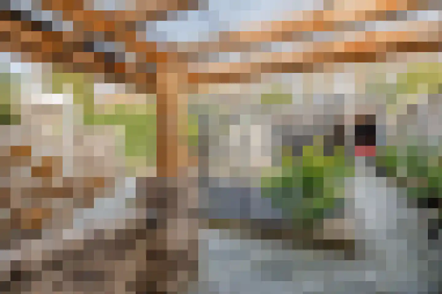 Kuifmees 19 Emmen thumbnail 36