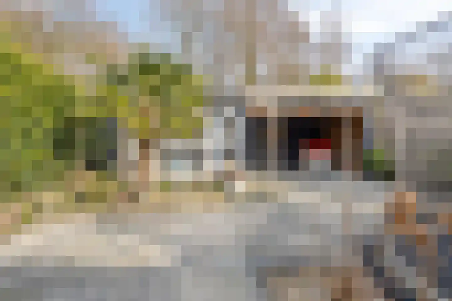 Kuifmees 19 Emmen thumbnail 37