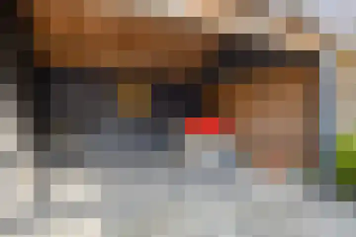 Kuifmees 19 Emmen thumbnail 39