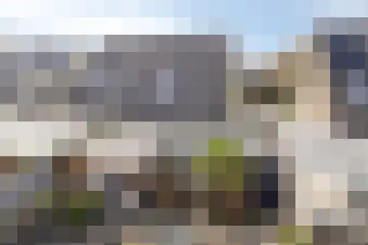 Kuifmees 19 Emmen thumbnail 40