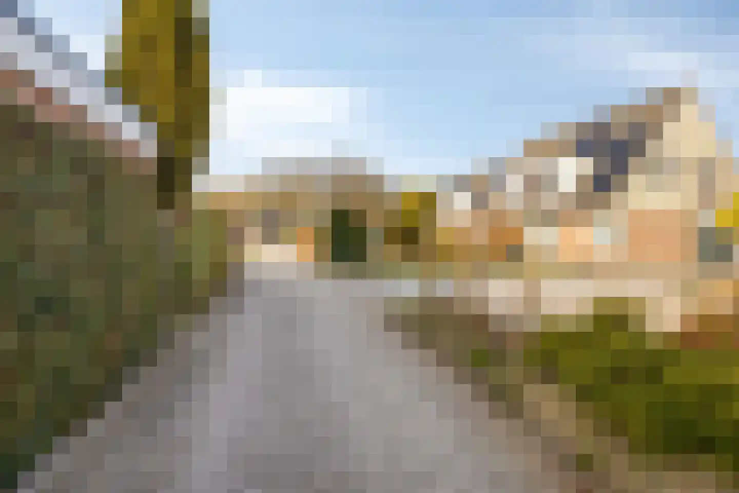 Kuifmees 19 Emmen thumbnail 41