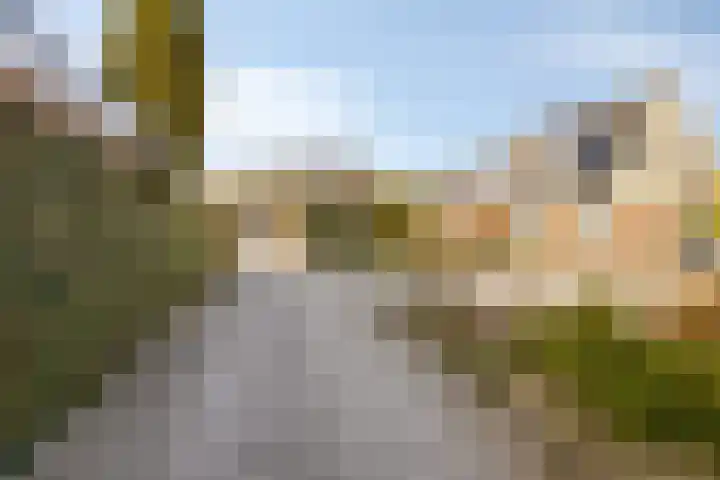 Kuifmees 19 Emmen thumbnail 41