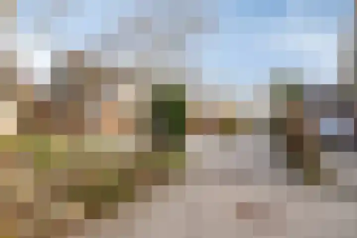 Kuifmees 19 Emmen thumbnail 42