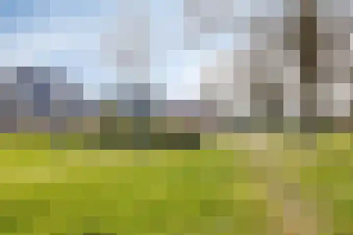 Kuifmees 19 Emmen thumbnail 43