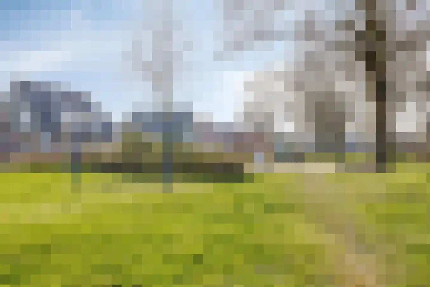 Kuifmees 19 Emmen thumbnail 43