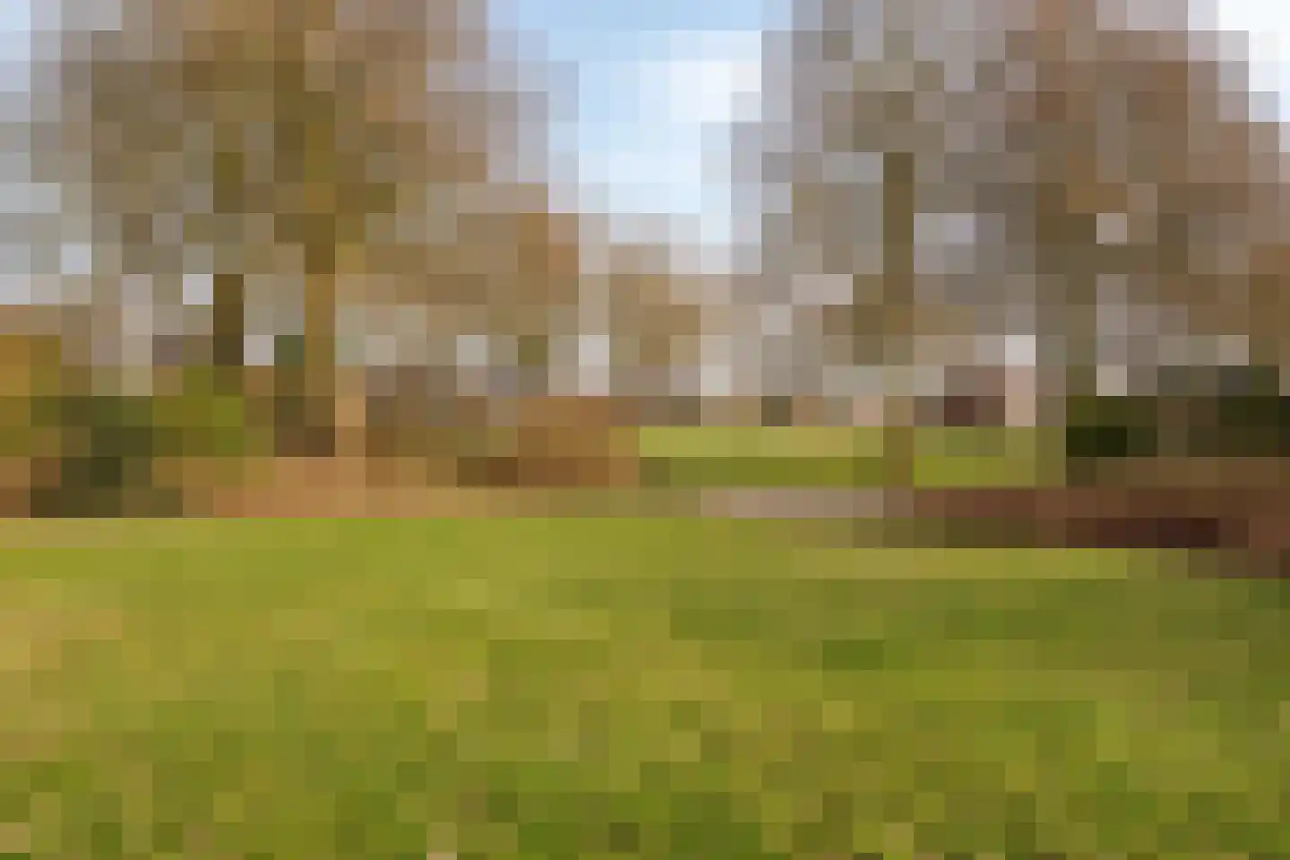 Kuifmees 19 Emmen thumbnail 44