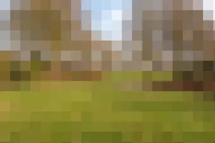 Kuifmees 19 Emmen thumbnail 44