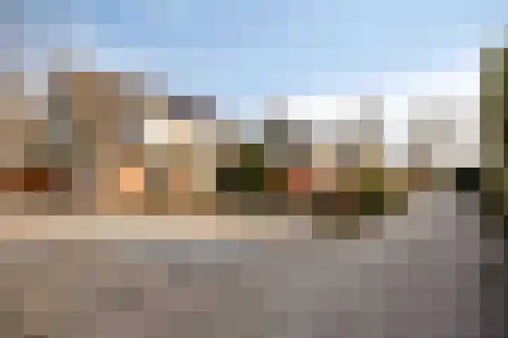 Kuifmees 19 Emmen thumbnail 5