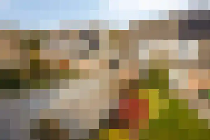Kuifmees 19 Emmen thumbnail 6