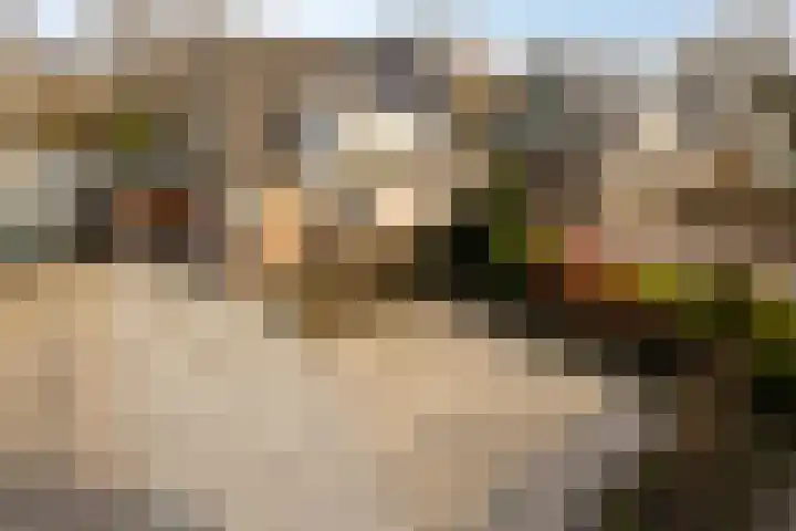 Kuifmees 19 Emmen thumbnail 8