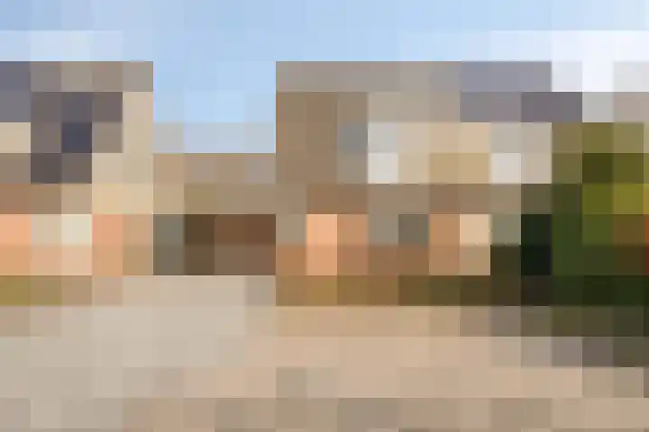 Kuifmees 19 Emmen thumbnail 9