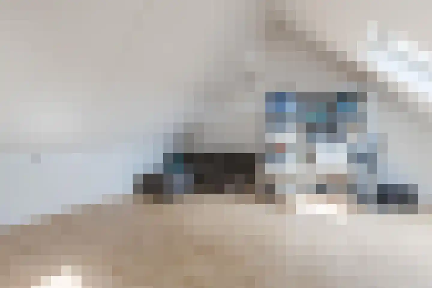 Kuifmees 21 Uithoorn thumbnail 24