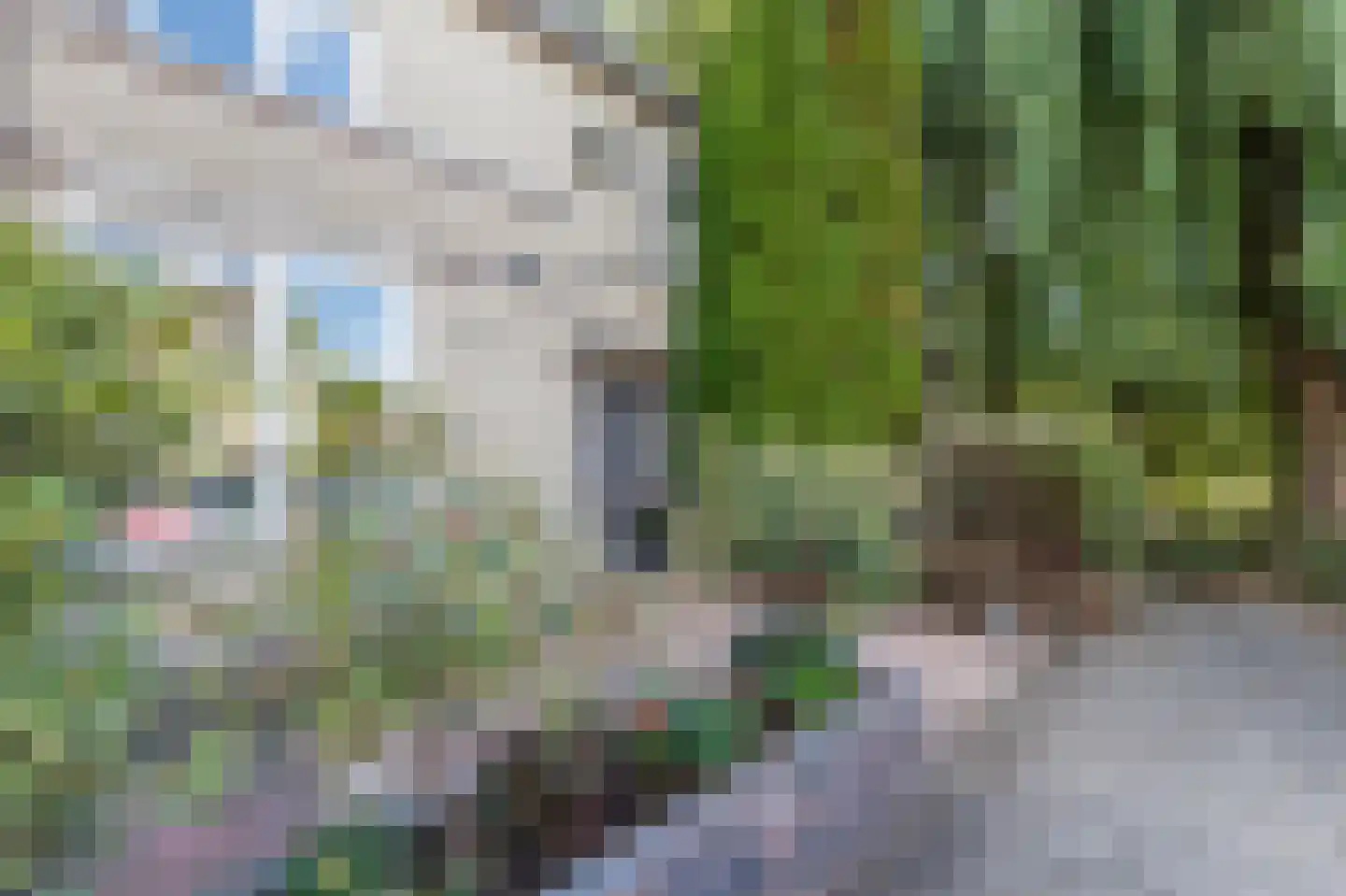 Kuifmees 21 Uithoorn thumbnail 31