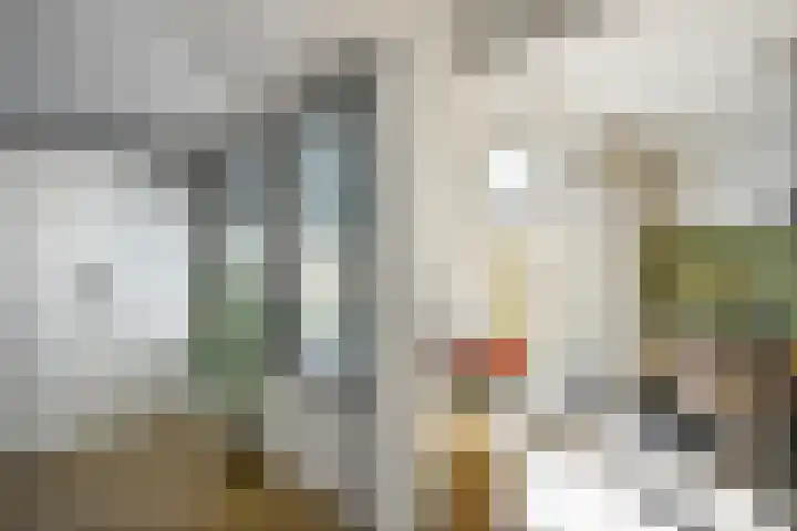 Kuifmees 23 Emmen thumbnail 10