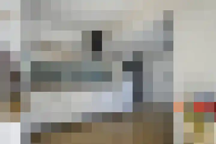 Kuifmees 23 Emmen thumbnail 11