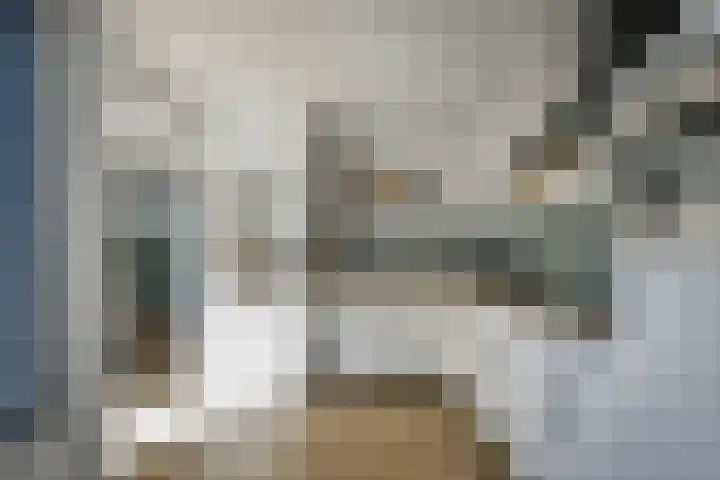 Kuifmees 23 Emmen thumbnail 12
