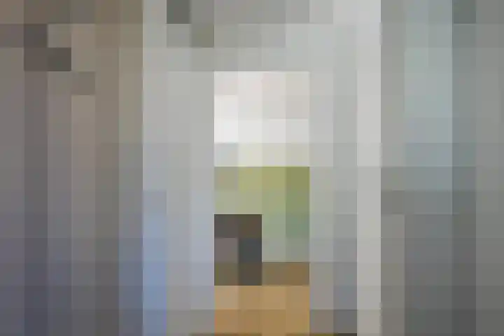 Kuifmees 23 Emmen thumbnail 13