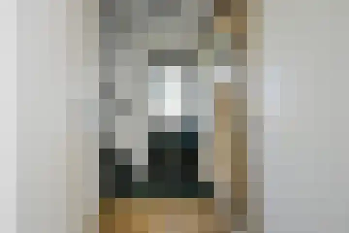 Kuifmees 23 Emmen thumbnail 14