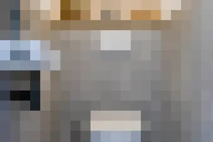 Kuifmees 23 Emmen thumbnail 15
