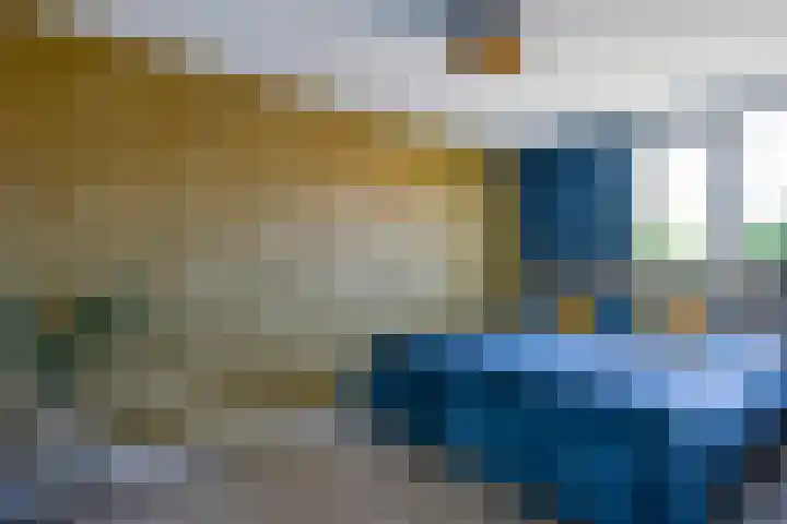 Kuifmees 23 Emmen thumbnail 16