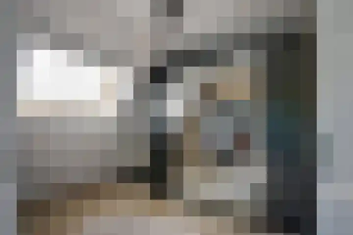 Kuifmees 23 Emmen thumbnail 18