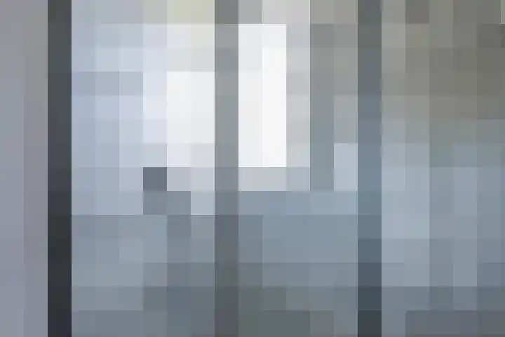 Kuifmees 23 Emmen thumbnail 20