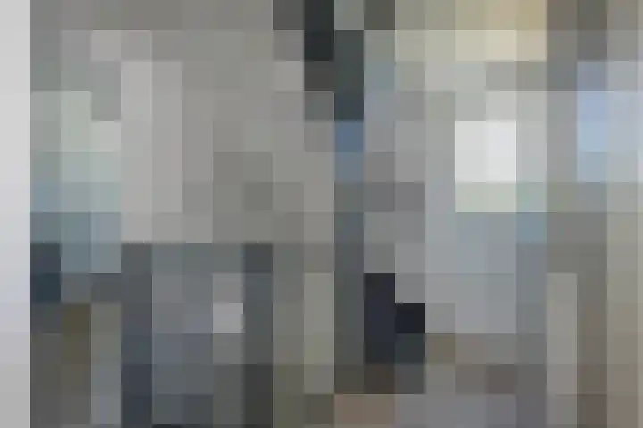 Kuifmees 23 Emmen thumbnail 21