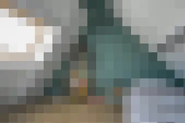Kuifmees 23 Emmen thumbnail 22
